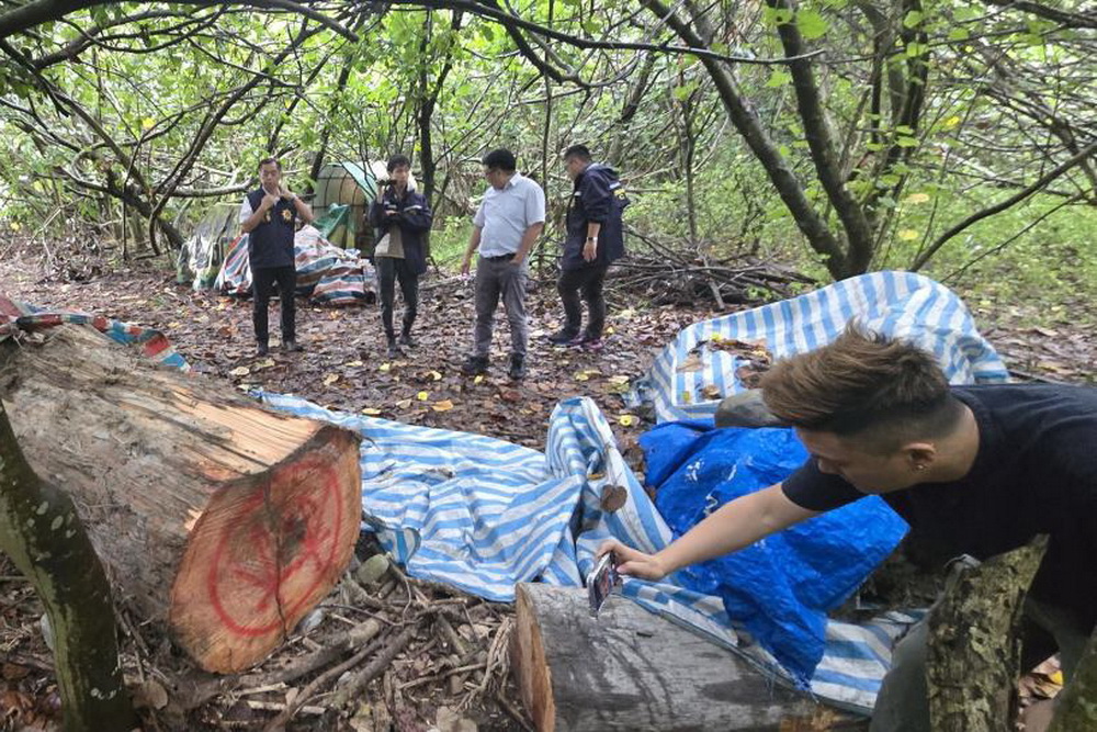 假借河川地種植西瓜侵占國有林木 宜檢起訴蘭陽溪山老鼠集團 216 假借河川地種植西瓜侵占國有林木 宜檢起訴蘭陽溪山老鼠集團 215
