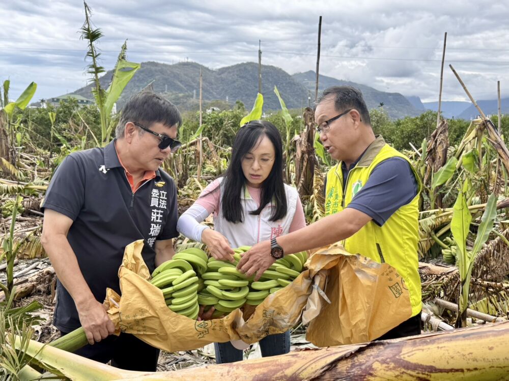 陳瑩、莊瑞雄共提修法今三讀通過　放寬農產品集貨場稅制優惠 195