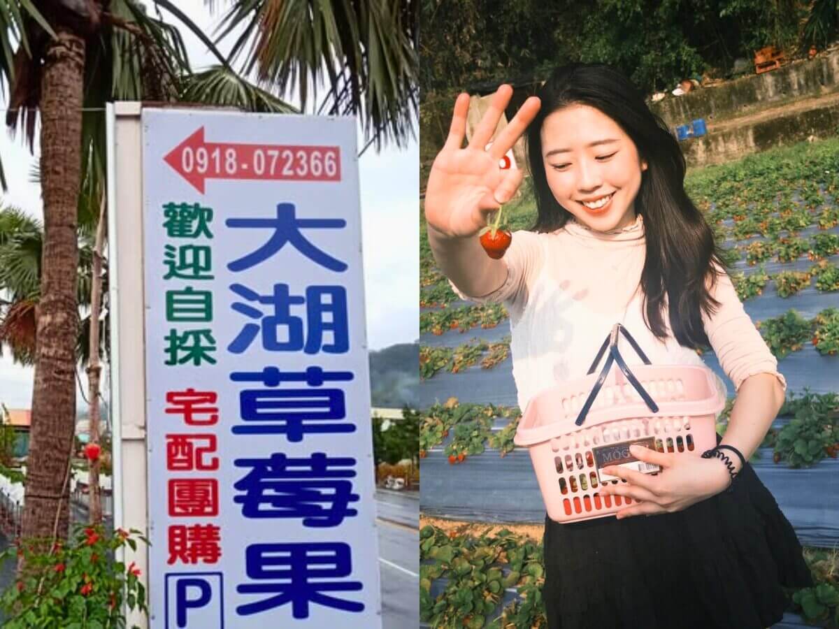 全台草莓園懶人包|草莓控集合!7大夢幻草莓園採果+甜點一次吃透透