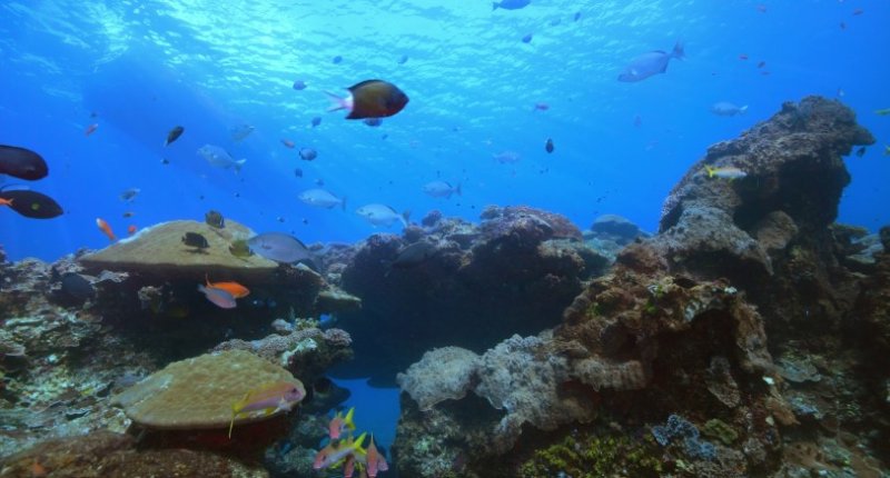 科技領航探索綠島再升級  開啟多感官旅遊新體驗！