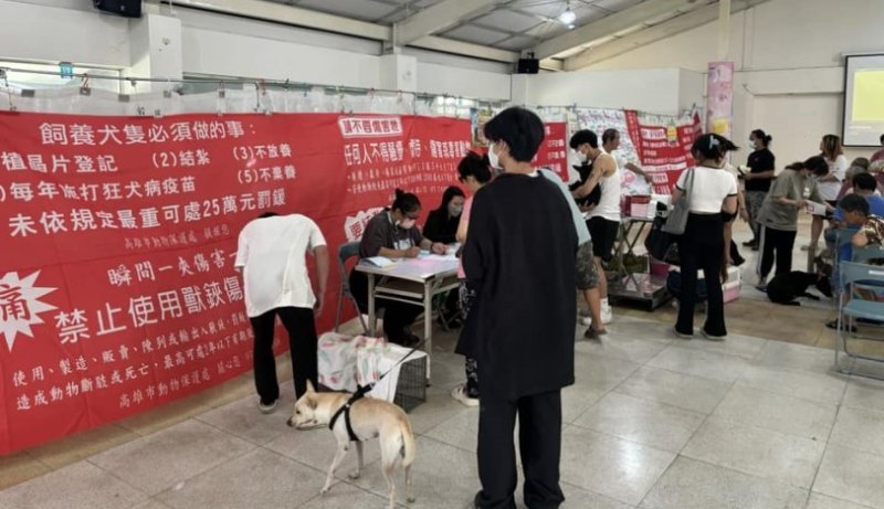 2026高市犬貓絕育雙軌開跑！市民補助即日開始 巡迴活動首場2/8前進阿蓮