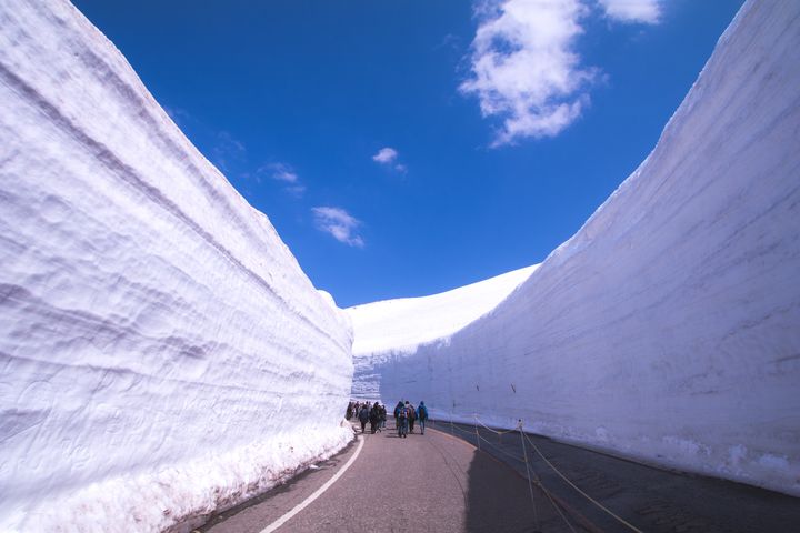 「金龍旅遊」榮獲「銀級環保旅行業」標章認證;近日季節旅遊產品為日本立山黑部雪壁之旅。 圖:shutterstock/來源
