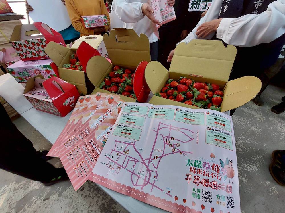 嘉義縣太保市公所鄭淑分市長與太保市農會黃靜玉總幹事為提昇農民收益與觀光效益，攜手行銷轄內7家優質草莓園。（圖/太保市公所提供）