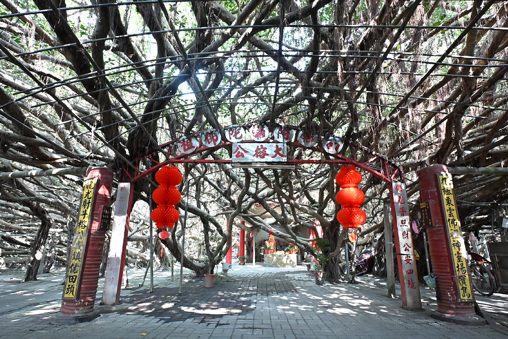 王惠美推竹塘九龍大榕公轉型觀光園區 感謝謝典林預算支持 210 王惠美推竹塘九龍大榕公轉型觀光園區 感謝謝典林預算支持 209