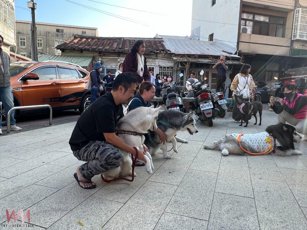 北港義民廟湧現「二哈出巡」　飼主相揪參拜義犬將軍為毛孩祈福 - https://www.watchmedia01.com