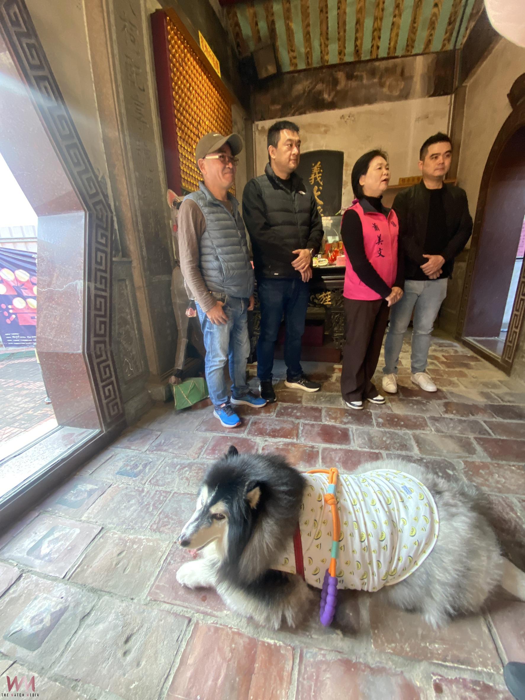 北港義民廟湧現「二哈出巡」　飼主相揪參拜義犬將軍為毛孩祈福 - https://www.watchmedia01.com