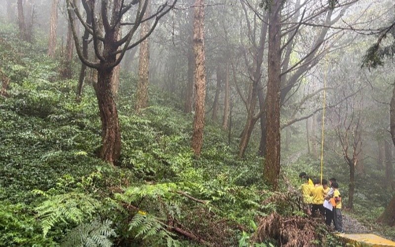 走入東眼山「森」呼吸! 新竹分署推戶外教學車資補助 2/24起開放申請