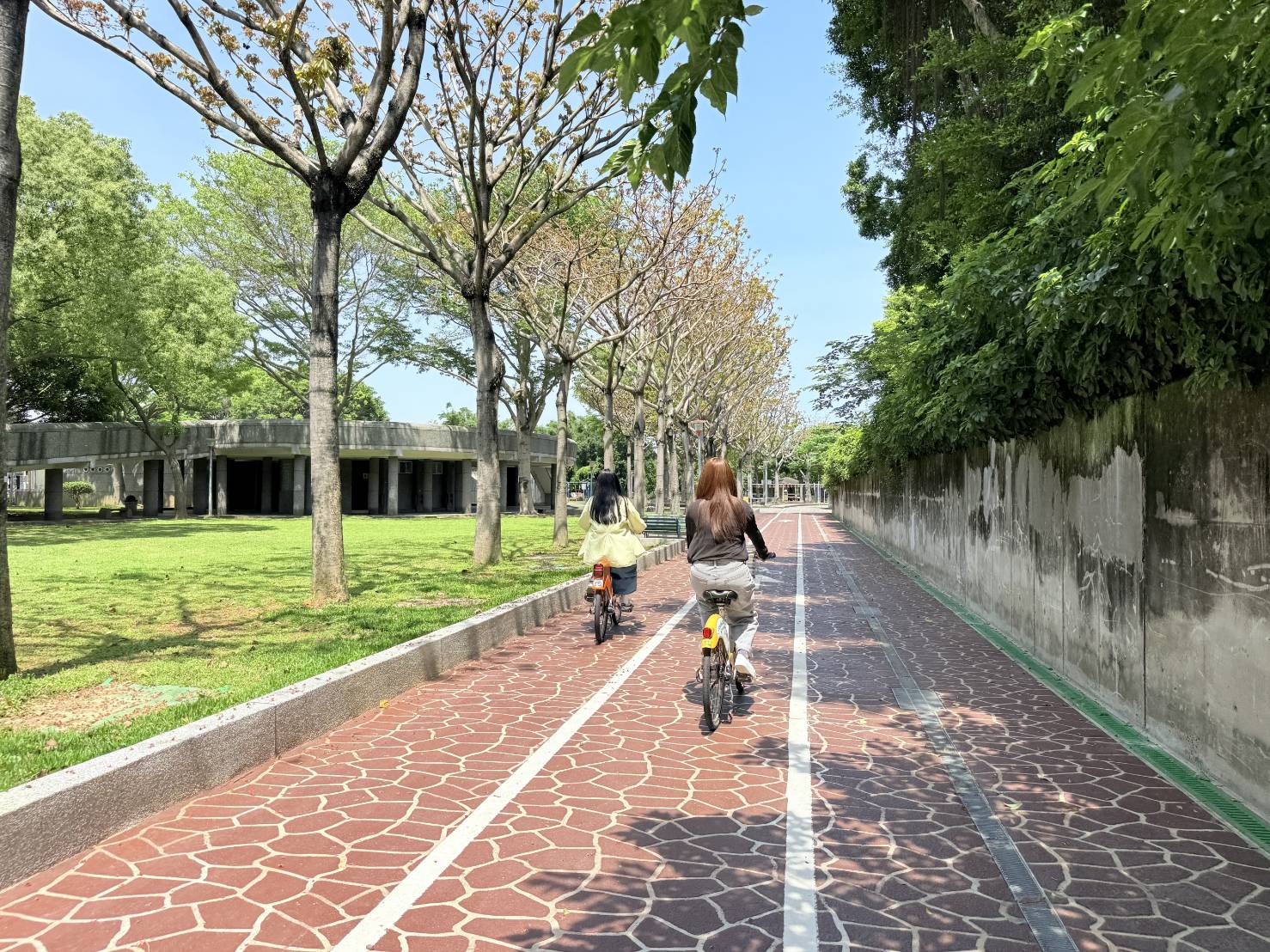 桃園環保局「淨零日記抽獎拚好禮」圓滿落幕 單月減碳量等同種305棵樹 第3張 0 1