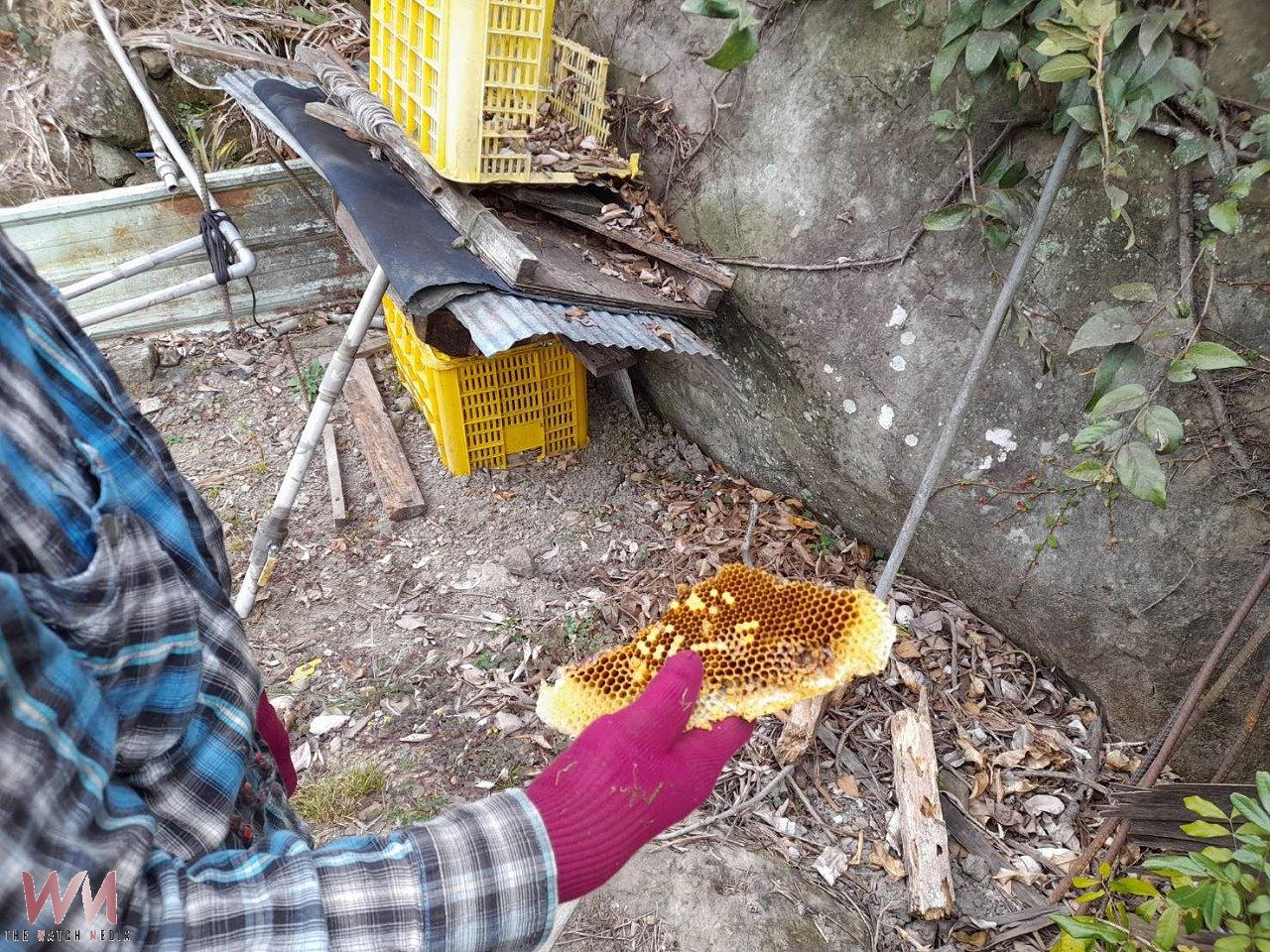 防止黑熊侵擾部落 林保嘉義分署呼籲食物管理是關鍵 - https://www.watchmedia01.com