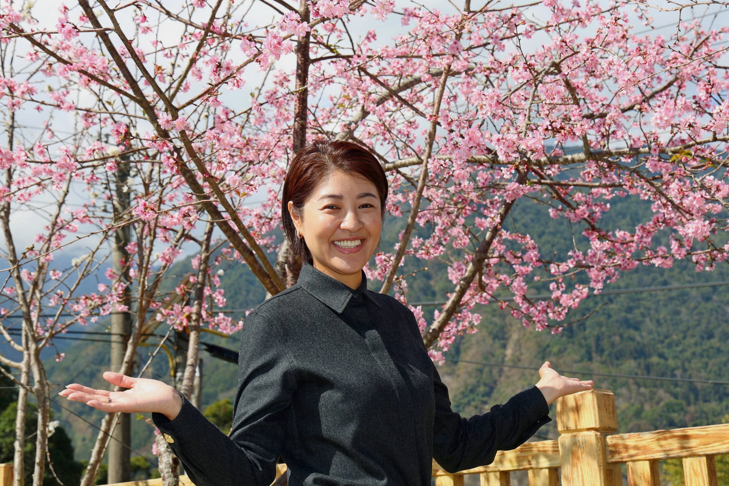 最美茶鄉櫻花季登場 信義草坪頭4,000棵櫻花迎賓 - https://www.watchmedia01.com