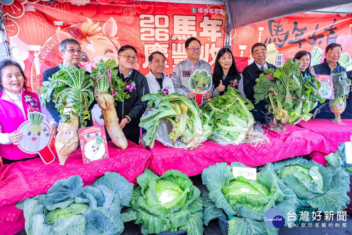 桃園市長張善政2出席「115年度楊梅區農民節慶祝活動暨稻穀烘乾機設備啟用典禮」。<br /><br />