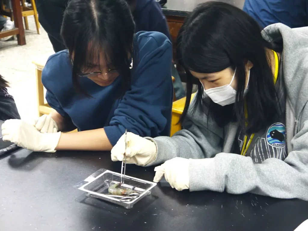 參與營隊的高中學生在中山醫大實驗室進行節肢動物解剖實作,體驗生科研究。(圖/中山醫大提供)