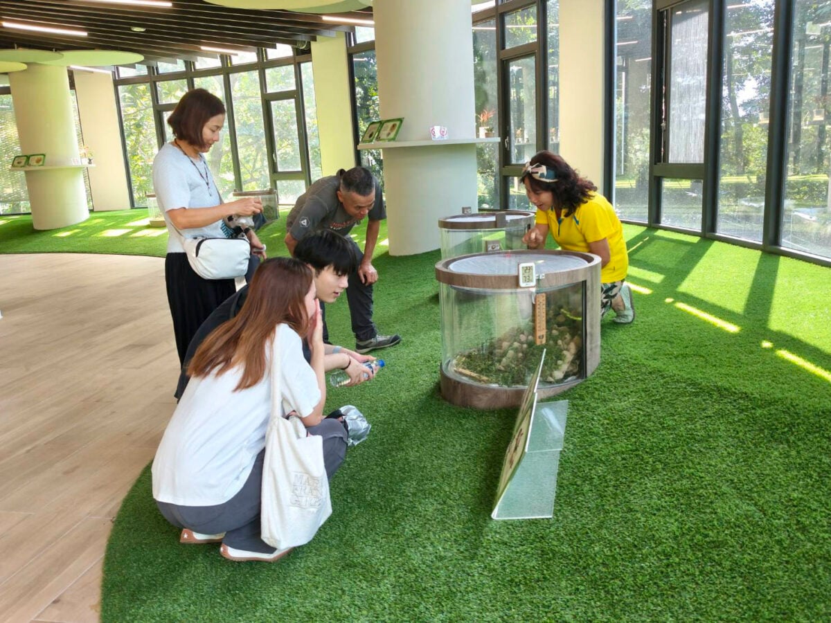 ▲志工解說黃斑黑蟋蟀生態。
