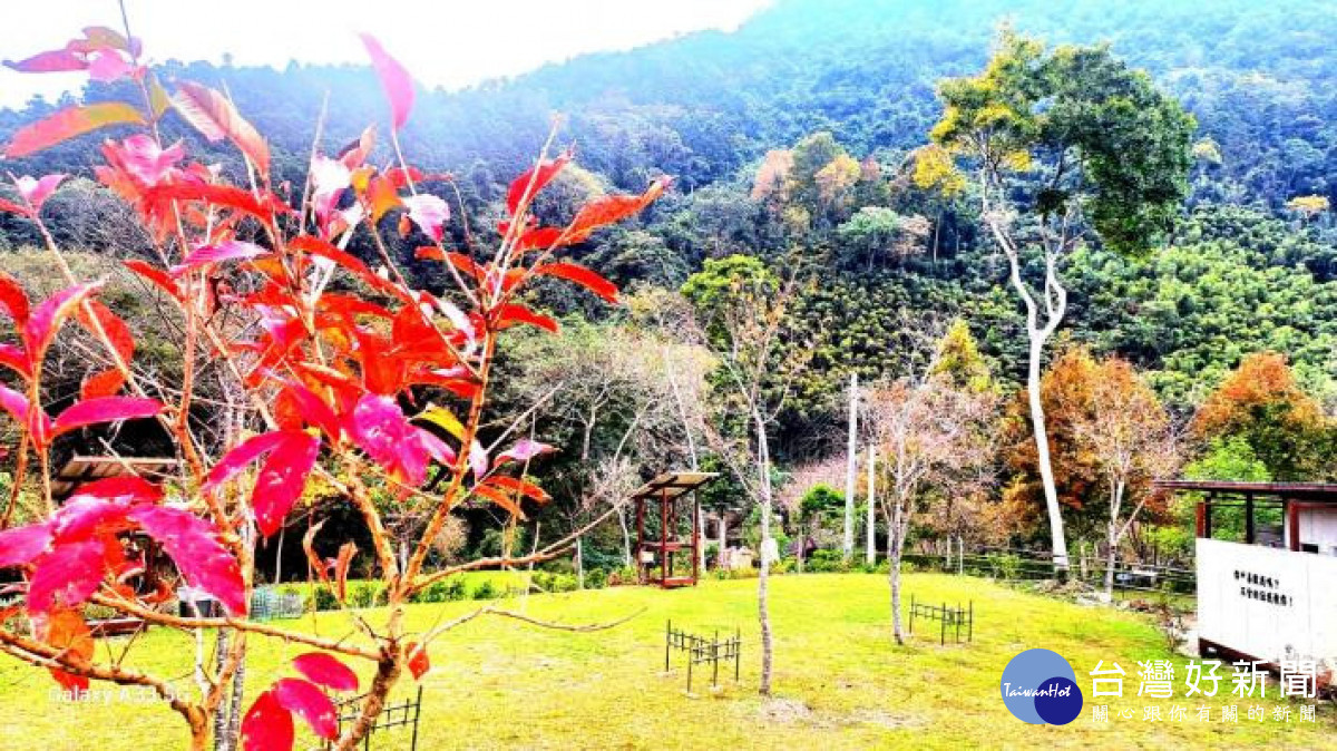 首件農牧用地申請露營場設立登記案件，由五峰鄉的「鹿林濤營地」奪得頭籌。