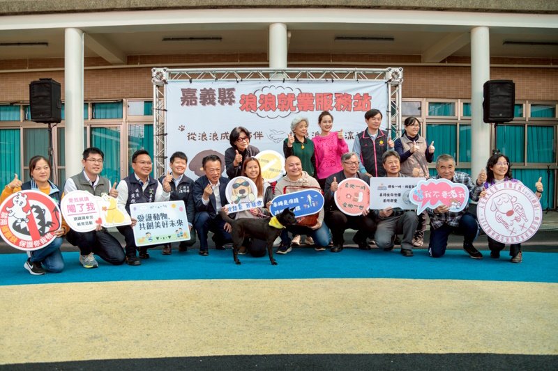 浪浪成為夥伴不再流浪 嘉義縣獨創「浪浪就業服務站」