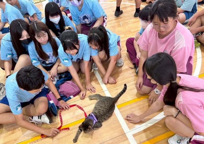 屏縣府推動保生命教育　陪伴犬貓走入校園
