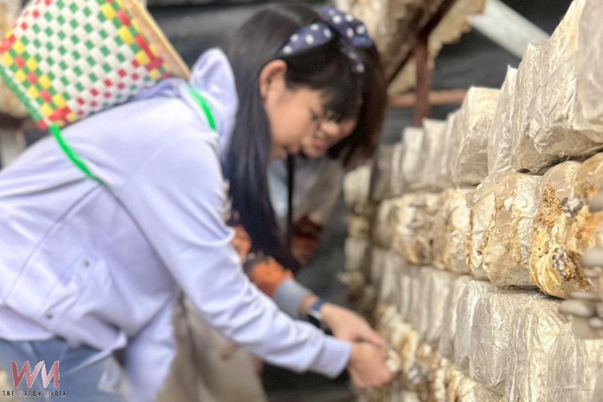 春節將至南投走春人氣旺 農場體驗成家庭旅遊新選擇 - https://www.watchmedia01.com
