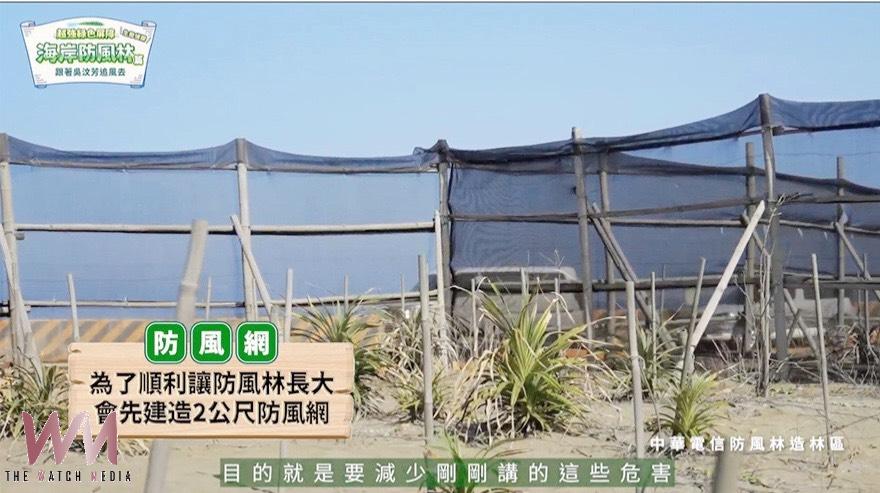 守護台灣海岸線　吳汶芳探訪桃園蘆竹防風林 見證中華電信植樹成果 - https://www.watchmedia01.com