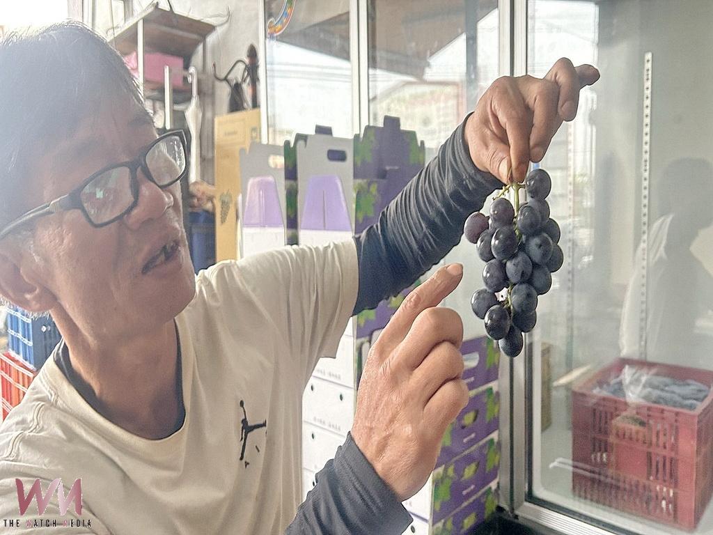 辭去台銀鐵飯碗回鄉種葡萄 賴俊維以冬果葡萄搶攻春節市場 - https://www.watchmedia01.com