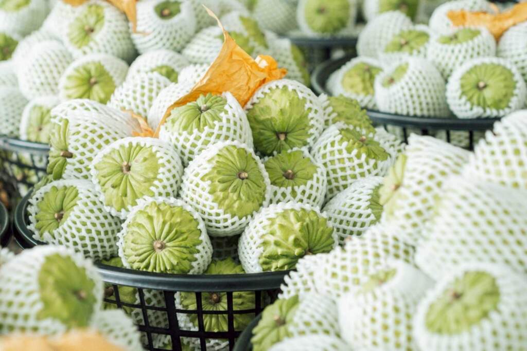 ▲臺東縣政府持續推動鳳梨釋迦海外通路行銷,連續3年深耕新加坡高消費力市場,透過穩定供貨與分眾通路策略,建立市場基礎。