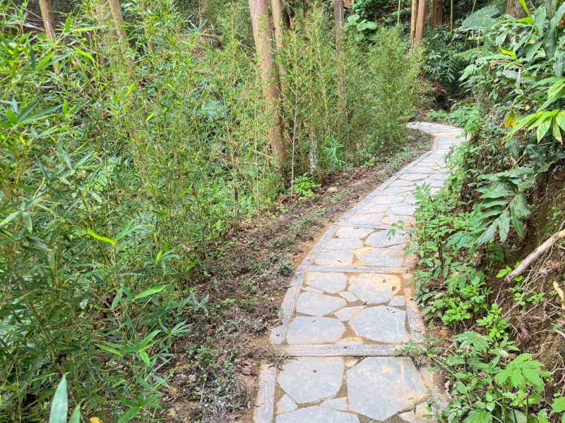 紫色山城再添低碳永續步道 瑞里村景觀步道改善獲金質榮耀