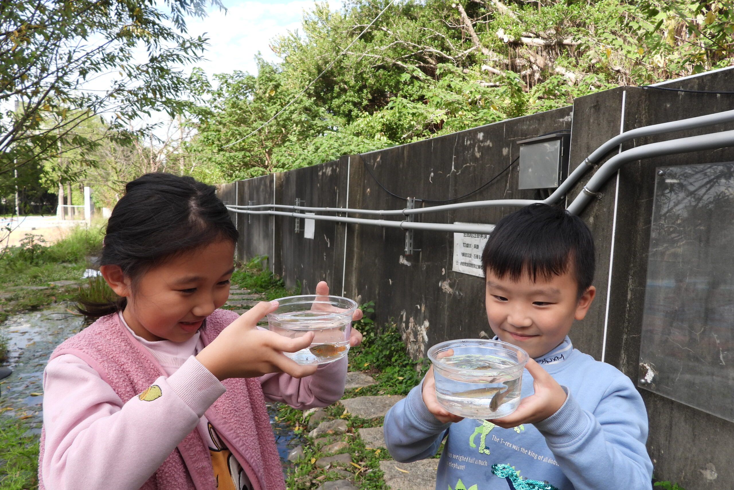 中壢自立國小生態池「保育蛇類出沒」 學子與自然和平共處 自立國小02 水生生物調查活動與觀察 0 0 scaled