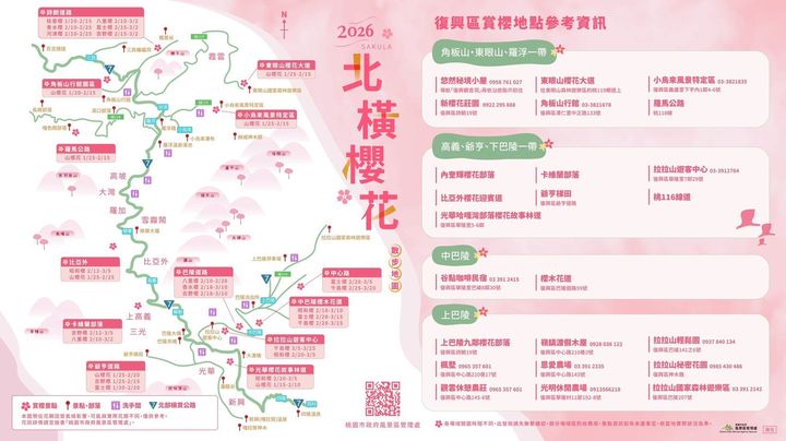 浪漫北橫櫻花季即將啟動!跟著「2026櫻花散步地圖」賞櫻去