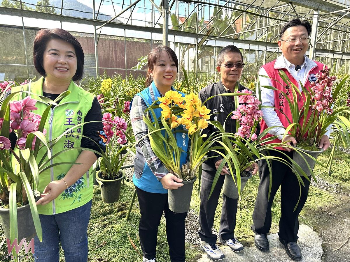 金馬迎春旺全年 魚池虎頭蘭賀新年家中擺一盆福氣旺旺來 - https://www.watchmedia01.com