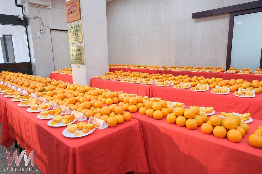 竹縣柑好過年與名家揮毫迎新春 週末熱鬧登場 - https://www.watchmedia01.com