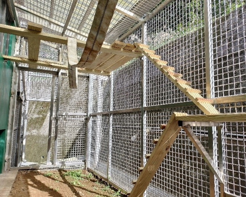 圖/三芝動物之家小型哺乳動物空中廊道。(新北市政府動物保護防疫處提供)