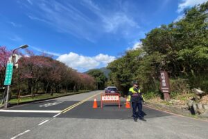 陽明山花季2月5日盛大開幕 北投警公布交管攻略 搭公車賞櫻最愜意 43 MEITU 20260204 125601818 300x200 1