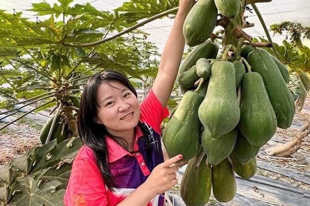 民眾黨彰化縣推2新世代拚議員席次 蘇智弦全縣候選人最年輕 218 民眾黨彰化縣推2新世代拚議員席次 蘇智弦全縣候選人最年輕 217