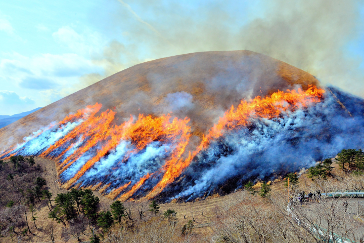 大室山一年一度的「燒山」儀式現場非常震撼。 圖:伊東市/提供
