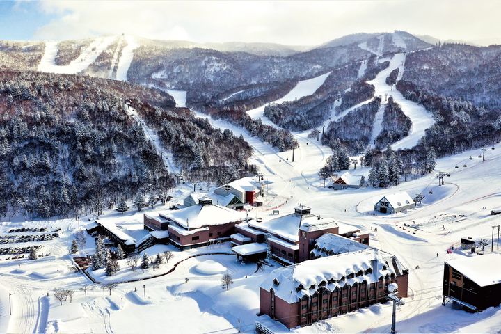 日本北海道雪季開賣!全包式滑雪假期首推「限時10天」保證最低價優惠