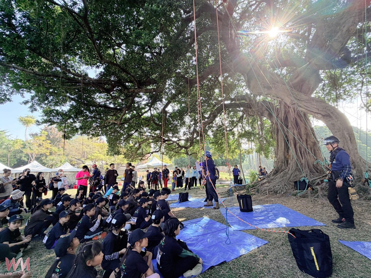 全台首創　挑戰自信建立教育理念 張秀菊基金會辦國小攀樹體驗賽 - https://www.watchmedia01.com