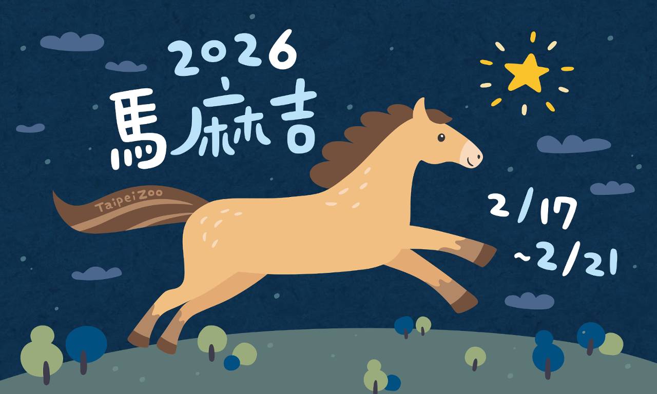 台北動物園守護者招募中! 春節認養行動就差你一個