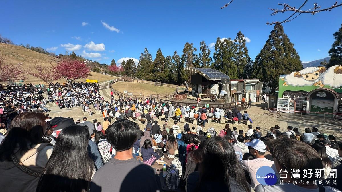 綿羊秀、馬術秀與櫻花景觀成為吸客焦點。(清境農場提供)