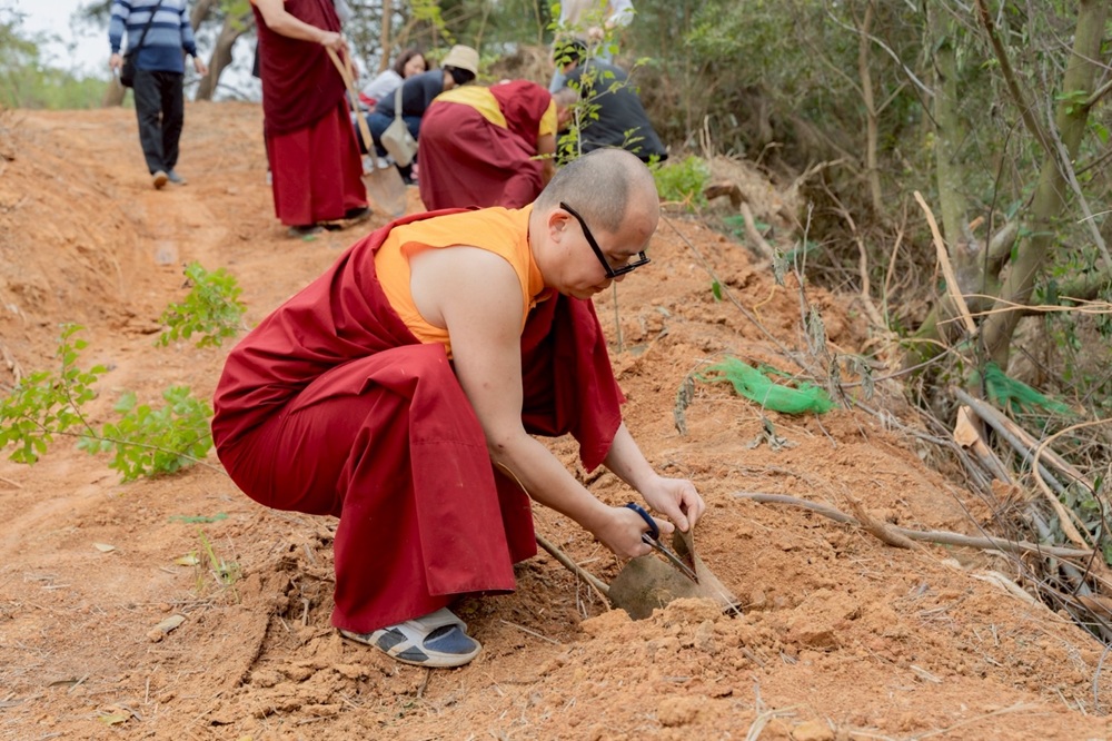 攜手桑耶寺打造永續環境 新北農業局推動為地球種下一棵樹 229 CNEWS204260409a01