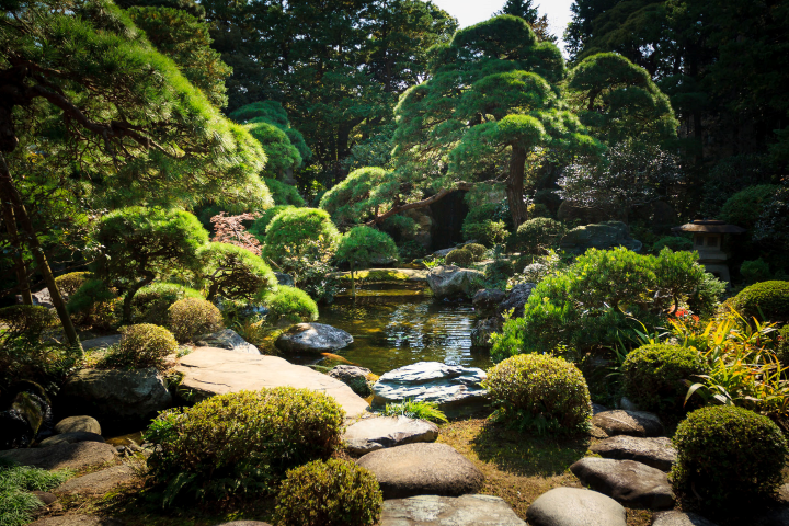 「山本亭」的書院造庭園,以池塘、景石與修剪細緻的常綠植栽構成傳統日式景觀。 圖:東京觀光事務所臺灣辦事處/提供