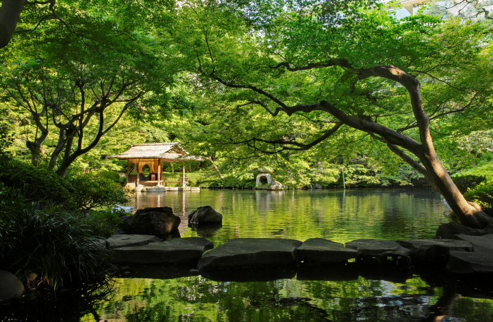 東京避開人潮的百年庭園秘境:白金台八芳園、柴又山本亭