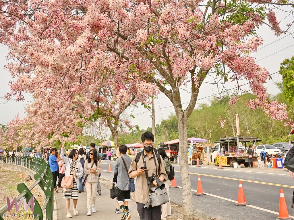 花海與彩繪列車交織 二水賞花熱環境缺失許敏適提出建言 - https://www.watchmedia01.com