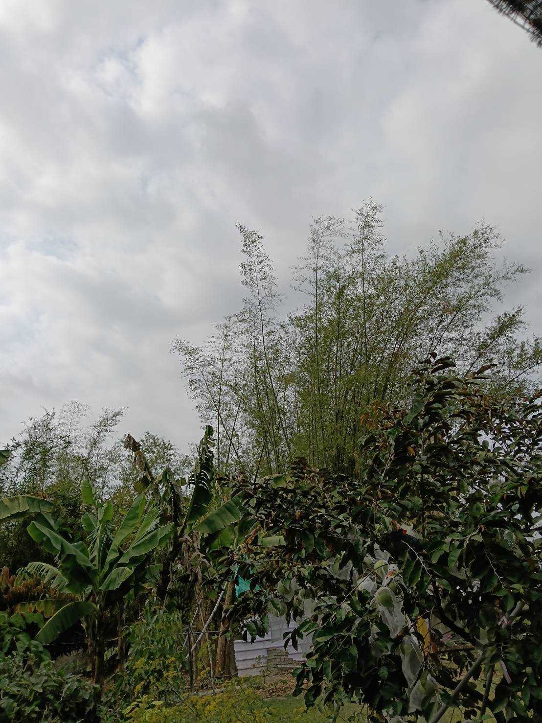 情深似海(孫吳也文創）新歌709