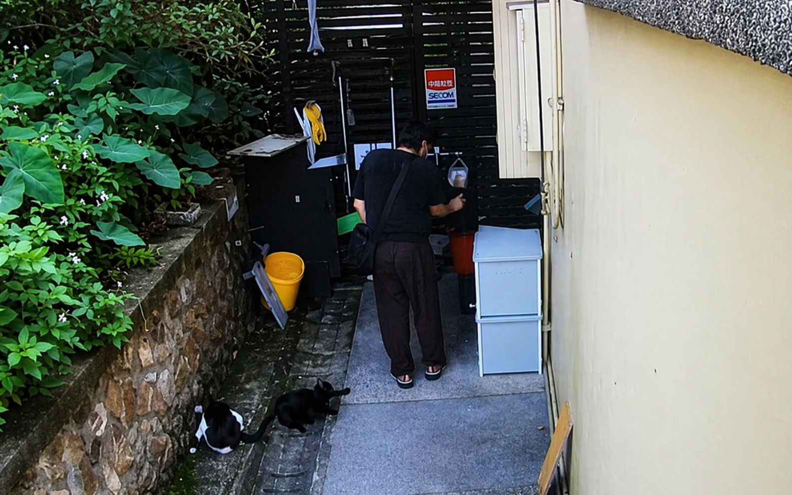 家住永和區的28歲李姓男子，跑到猴硐貓村當地朝5隻無辜貓咪噴灑辣椒水，導致貓咪眼睛刺痛狂流淚、不斷乾嘔。