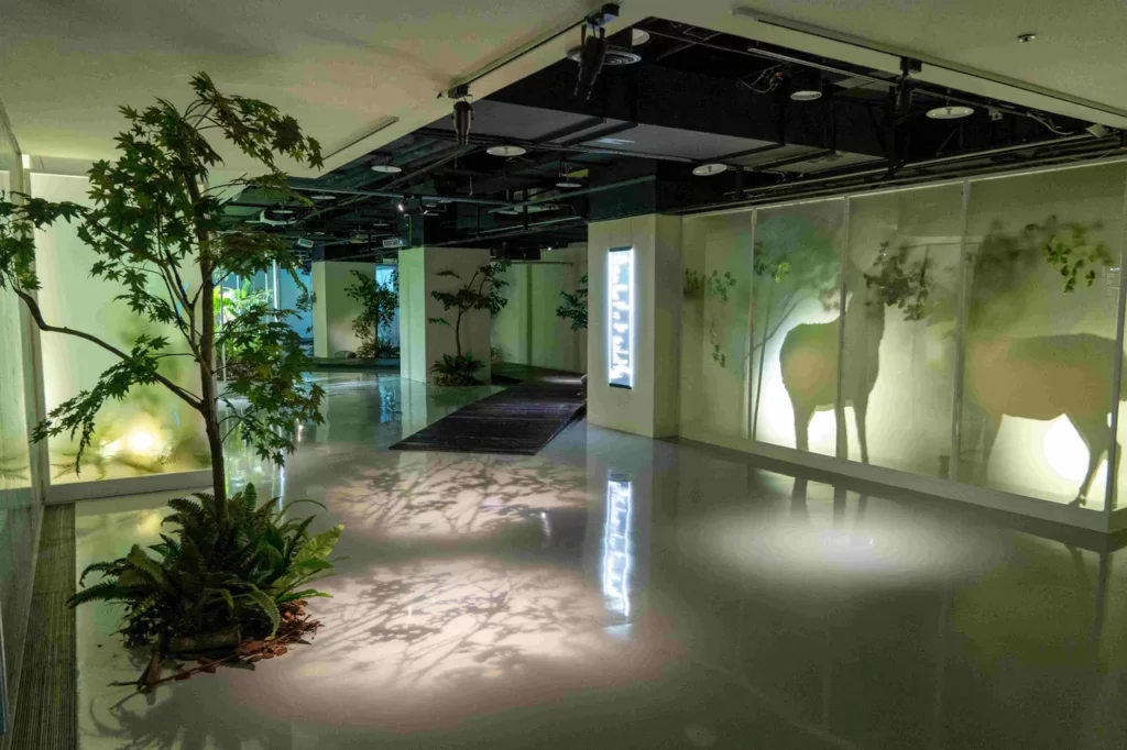 世界宗教博物館獲獎,讓靈性生態理念在世界設計語彙中綻放光芒(圖由世界宗教博物館提供)