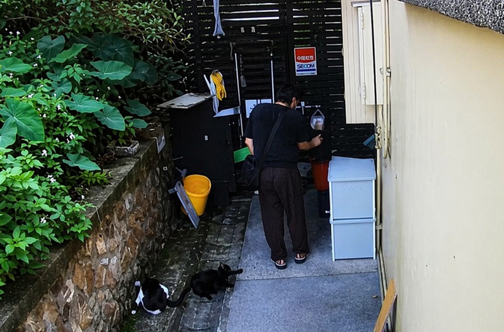涉以辣椒水虐猴硐貓 警清查比對逮28歲男辯心情不好 231 cnews204260415a16