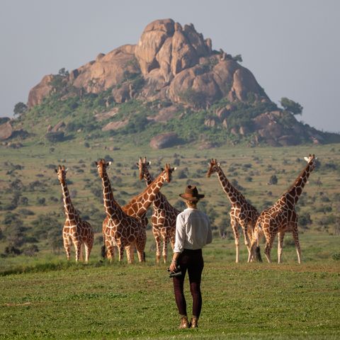 宛如私人莊園的極致非洲獵遊 滿足獨特、專屬、高度隱私的頂級旅遊需求
