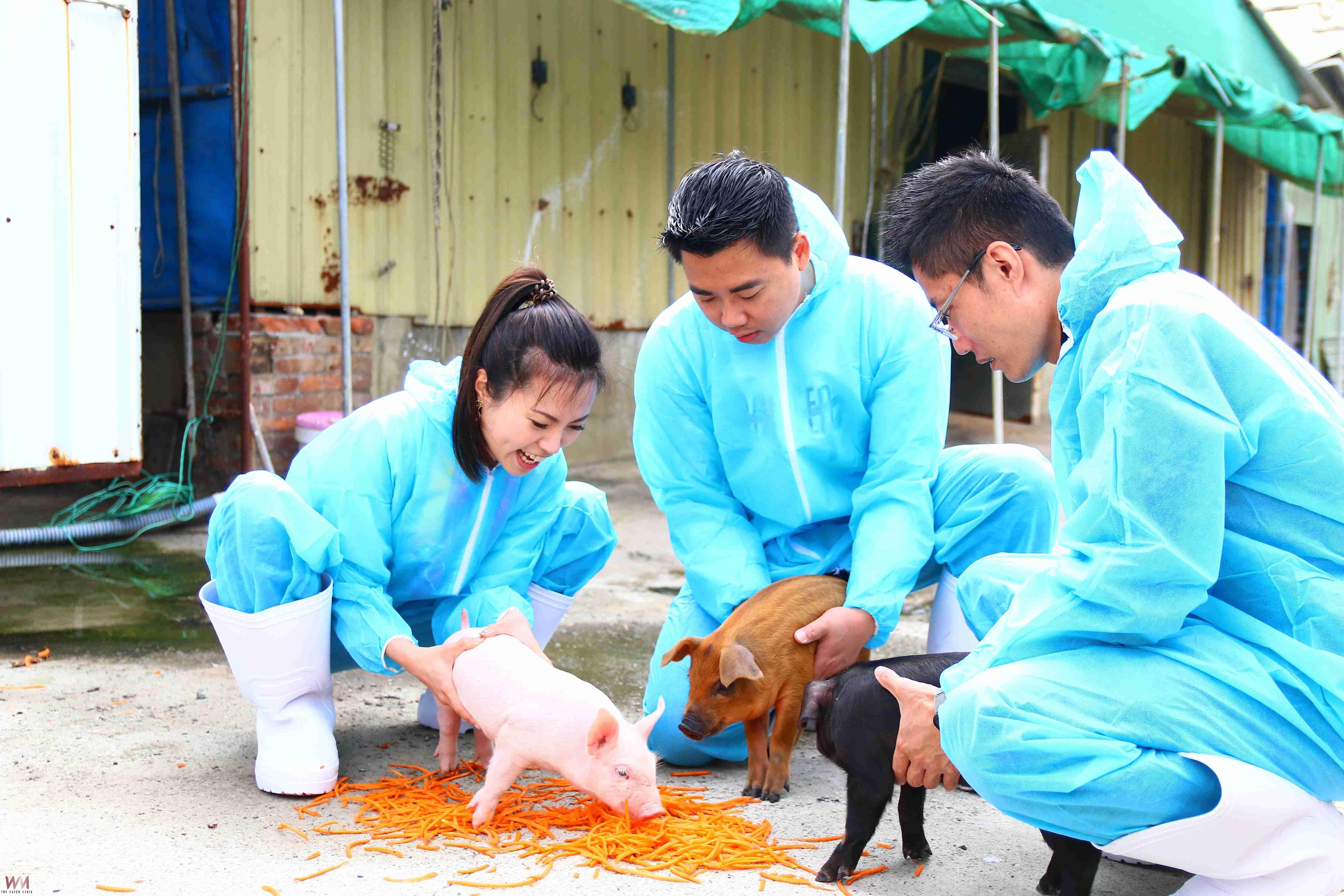 吃出永續影響力 米其林推薦台菜膳馨以在地食材打造環境友善餐桌 - https://www.watchmedia01.com
