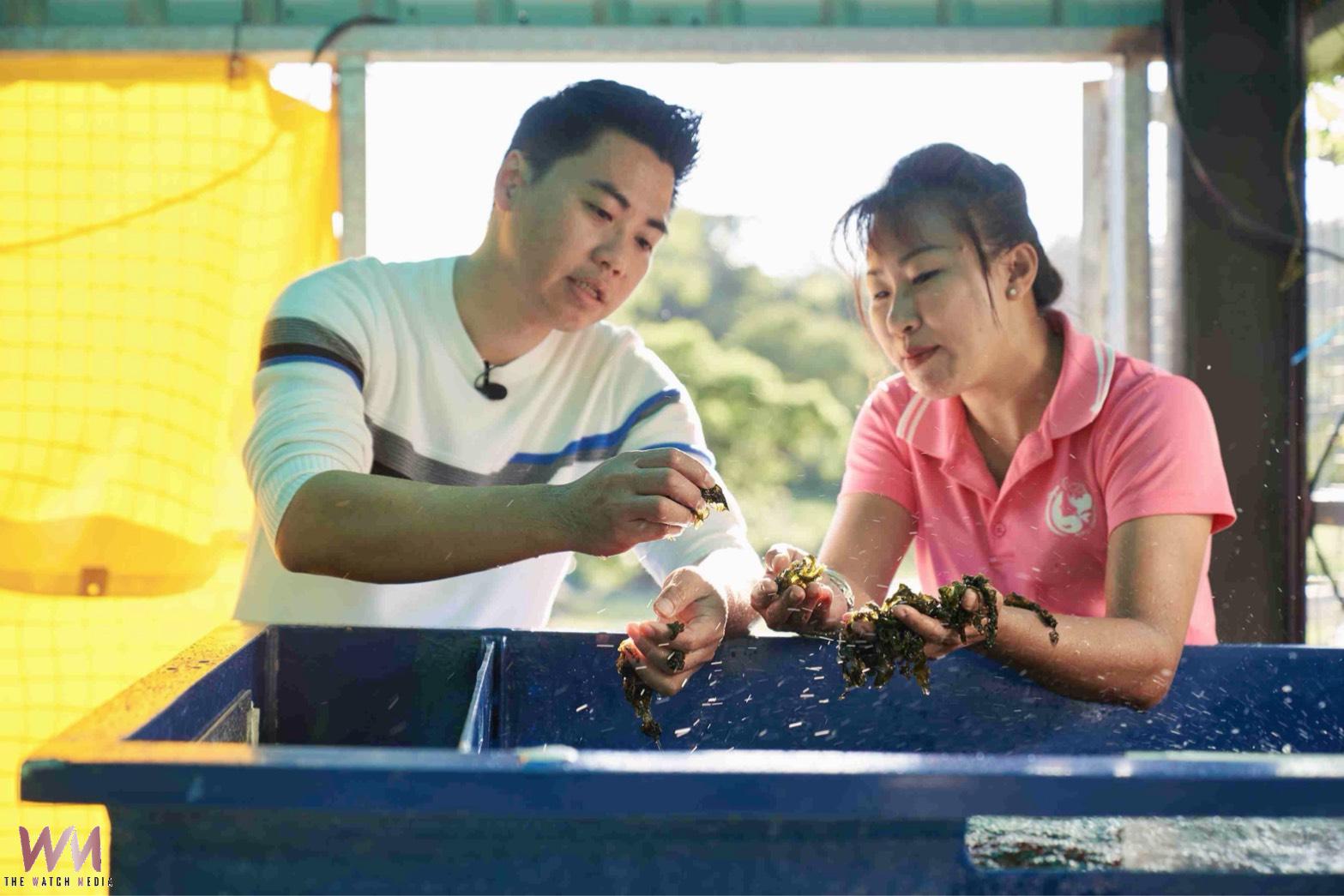 吃出永續影響力 米其林推薦台菜膳馨以在地食材打造環境友善餐桌 - https://www.watchmedia01.com