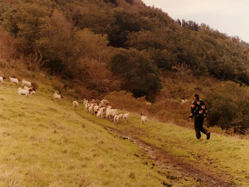 The North Face x Sky High Farm Goods 聯名系列_主視覺