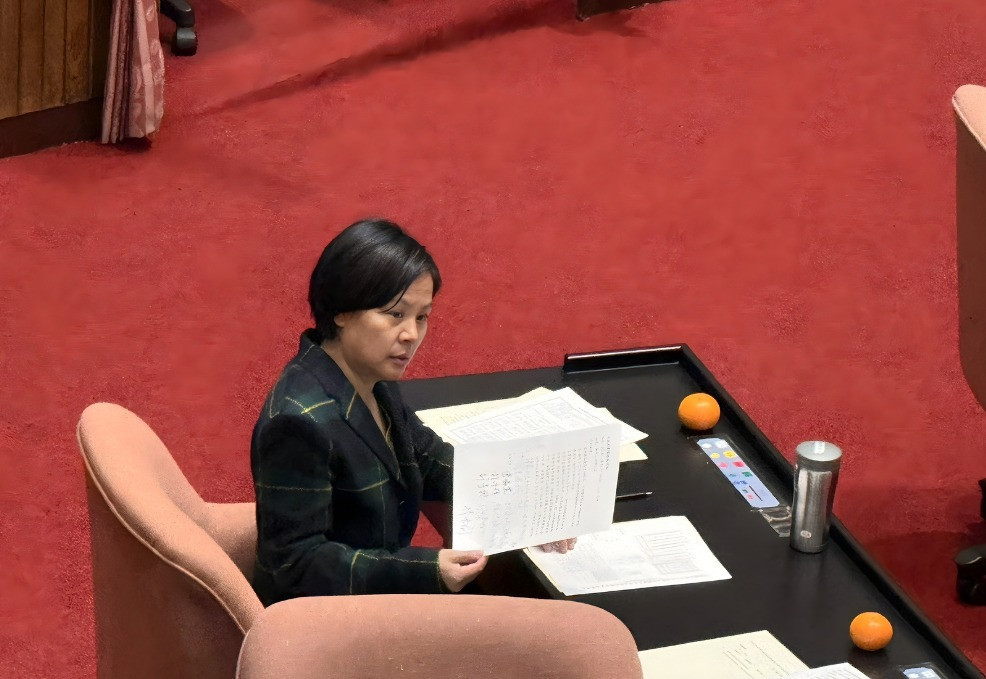 前台灣民眾黨不分區立法委員李貞秀。（圖／資料照片，圖源：翻攝自李貞秀Facebook）